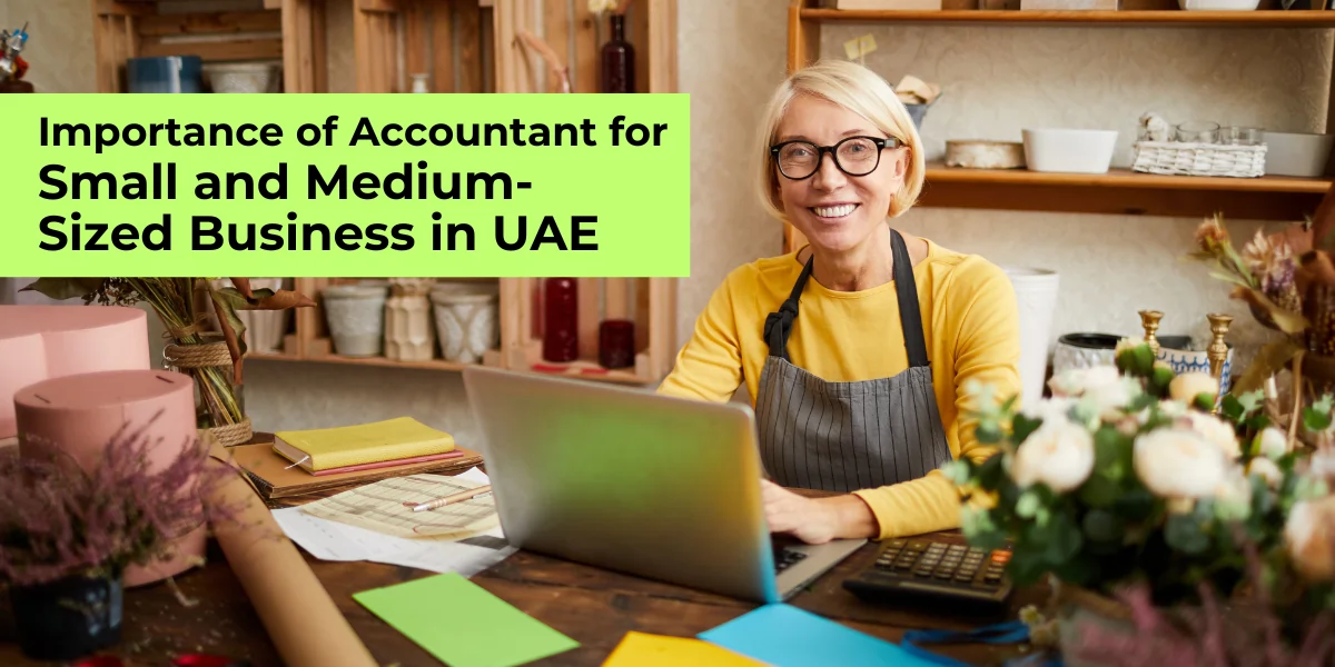 THE IMPORTANCE OF AN ACCOUNTANT FOR SMBs IN UAE