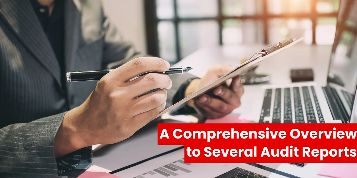 A Comprehensive Overview to Several Audit Reports