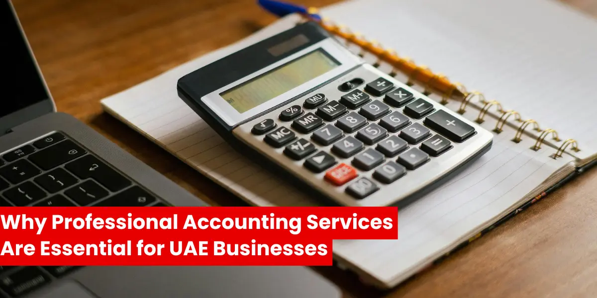 Why Professional Accounting Services Are Essential for UAE Businesses