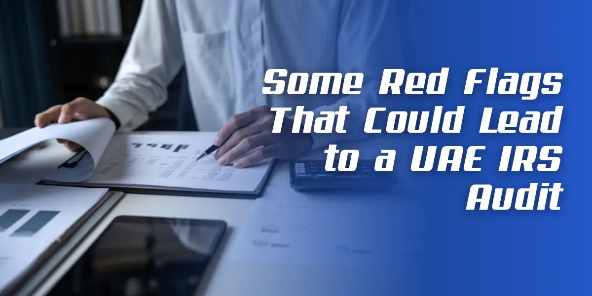 Some Red Flags That Could Lead to a UAE IRS Audit